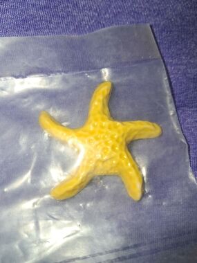 Wade's Whimsie's Starfish